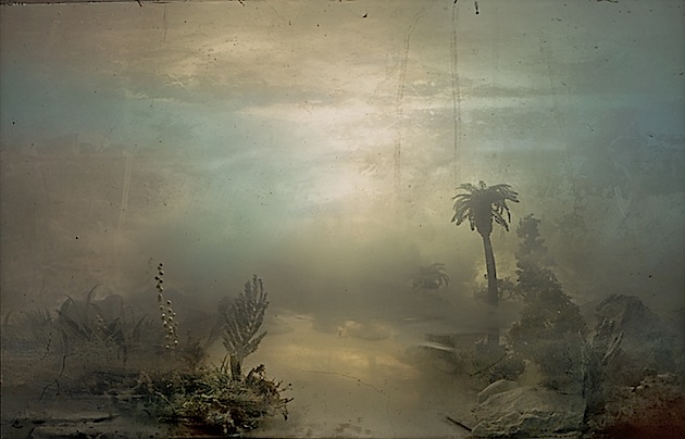 landscape photo