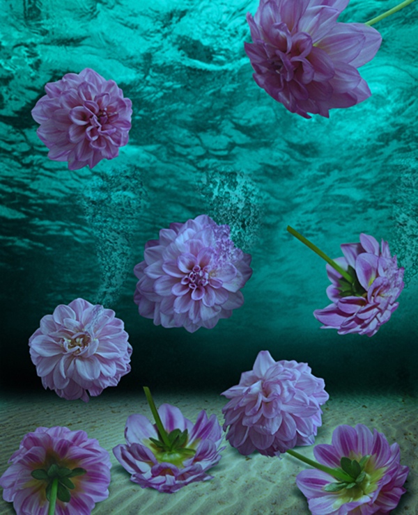 flowers in water