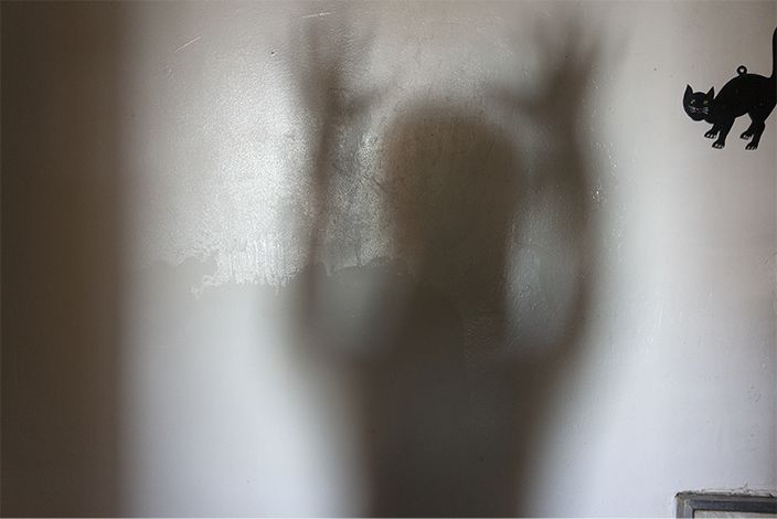 shadow and black cat