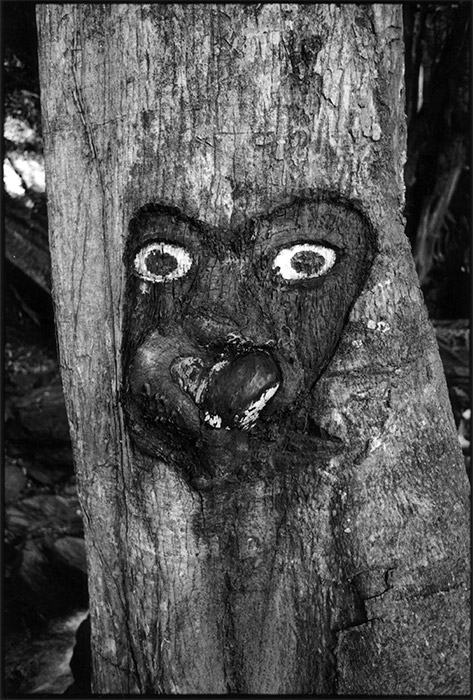 painted tree