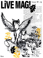 issue 13 cover