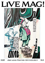 issue 20 cover